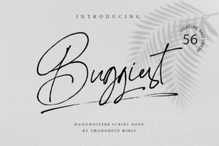 Buggiest: A Modern Script That Breaks the Mold