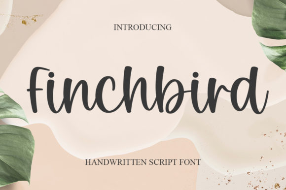 Finchbird: A Script Font That Balances Elegance with Utility