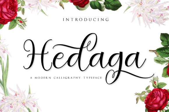 Hedaga: Infusing Romance and Personality into Modern Typography