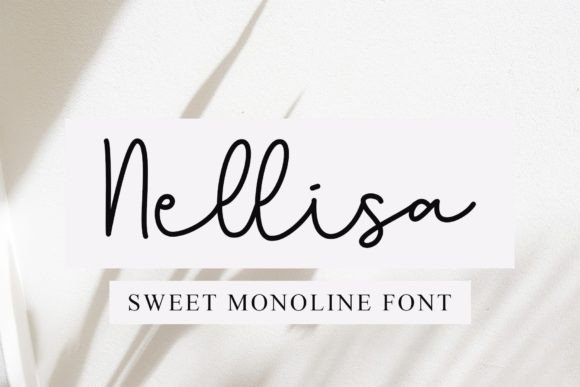 Nellisa: The Sweet and Bouncy Script for Modern Designs