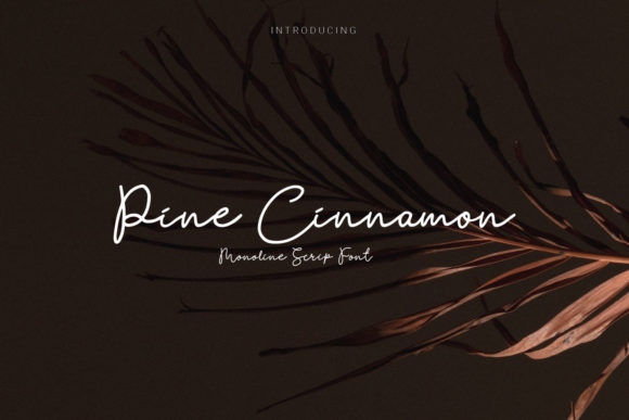 Pine Cinnamon: Your Go-To Organic Script Font