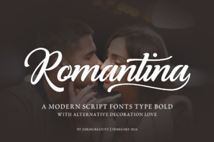 Romantina: Elegance for Modern Calligraphy Design